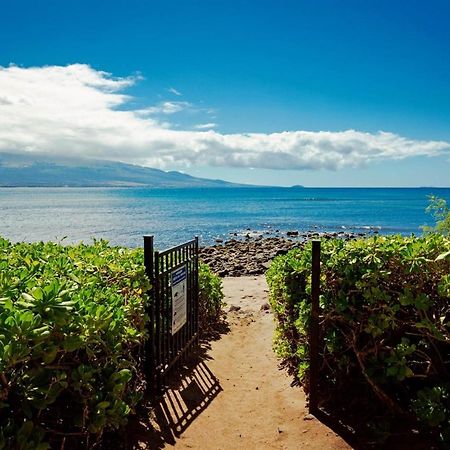 Stunning Maui Direct Ocean Front On The Beach, Walk To Beach From Condo, Watch Turtles, Whales, Ac In All Rooms Ocean View Pool And Spa 와일루쿠 외부 사진