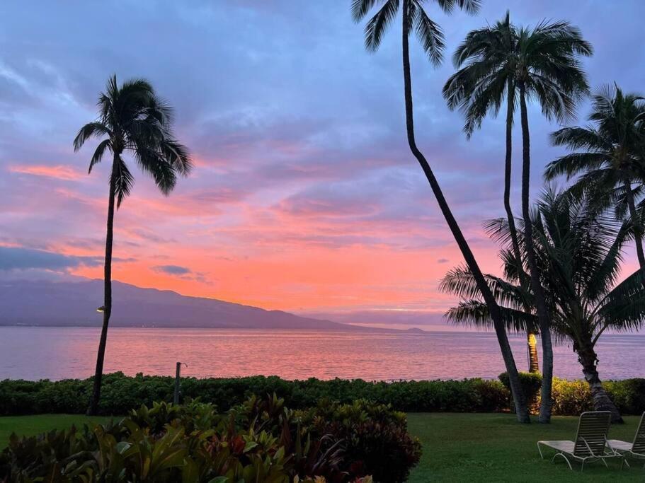 Stunning Maui Direct Ocean Front On The Beach, Walk To Beach From Condo, Watch Turtles, Whales, Ac In All Rooms Ocean View Pool And Spa 와일루쿠 외부 사진