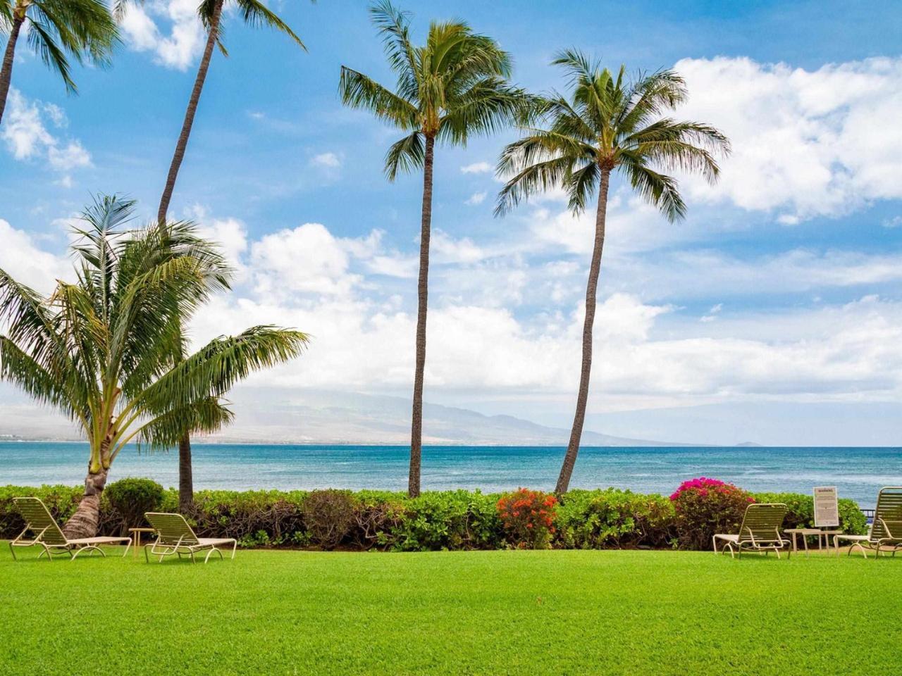 Stunning Maui Direct Ocean Front On The Beach, Walk To Beach From Condo, Watch Turtles, Whales, Ac In All Rooms Ocean View Pool And Spa 와일루쿠 외부 사진